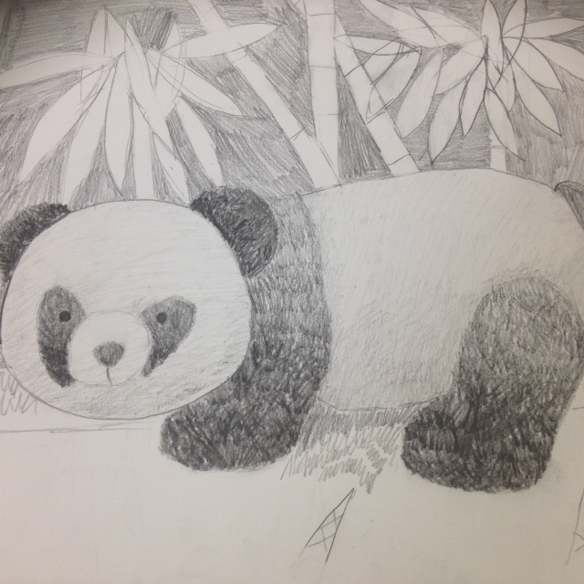 2015 Science and Art Camp archive cover